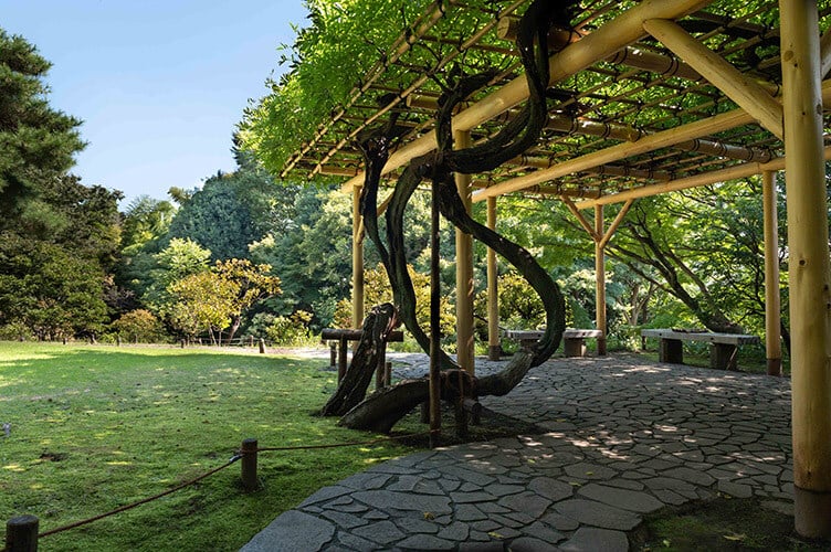 Tonogayato Garden 3