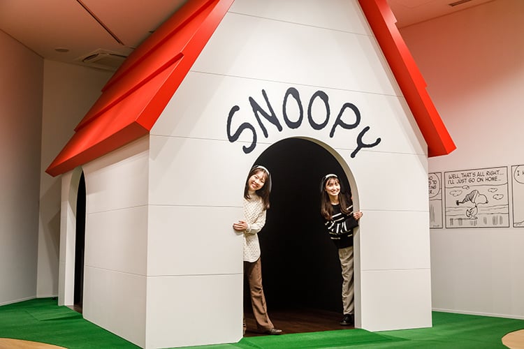 sno04