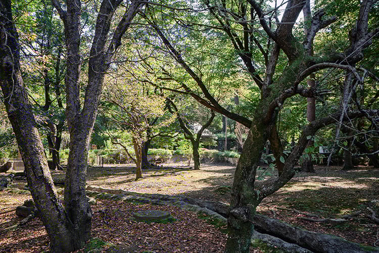 ino08